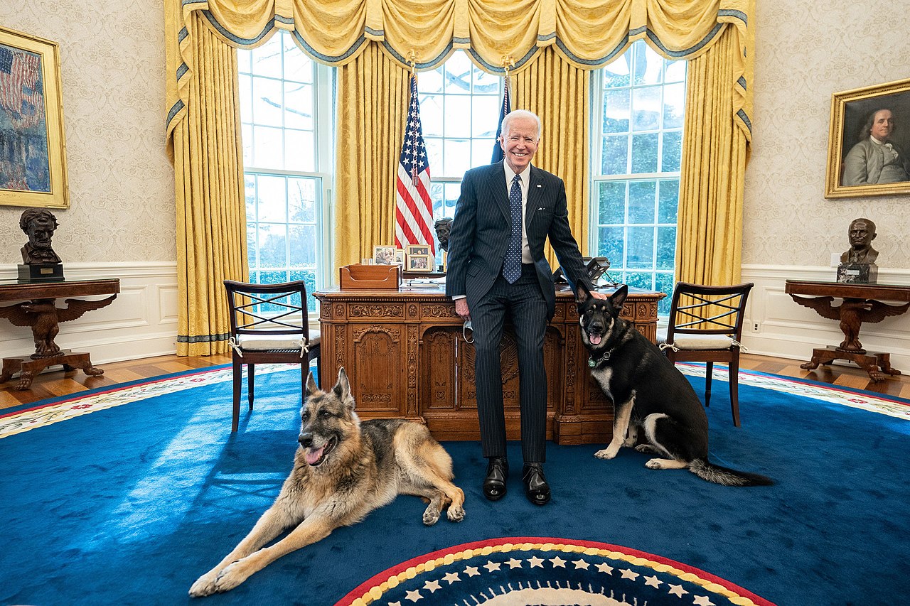 President Biden with Champ and Major